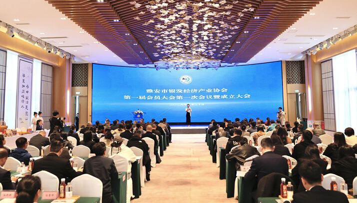 雅安成立银发经济产业协会